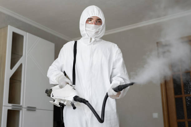 Mold Remediation for Rental Properties in Howard, WI